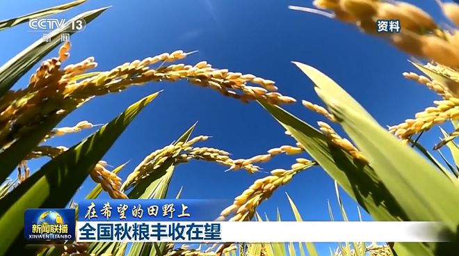 emc易倍：“五谷”首现国庆大花篮意义非凡！(图6)