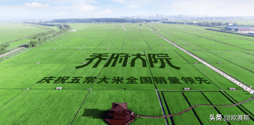 emc易倍：大米行业5个经典案例分析【详细版和简要版】(图13)