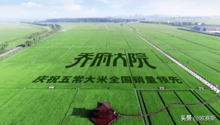 emc易倍：大米行业5个经典案例分析【详细版和简要版】(图12)