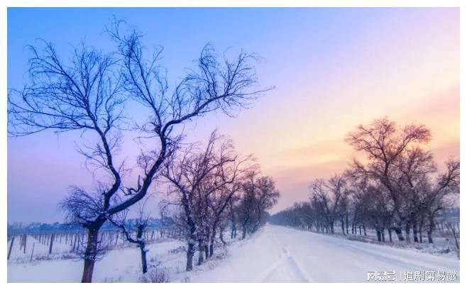 emc易倍：大寒一场雪来年五谷收啥意思？大寒下雪对五谷这么好吗(图2)