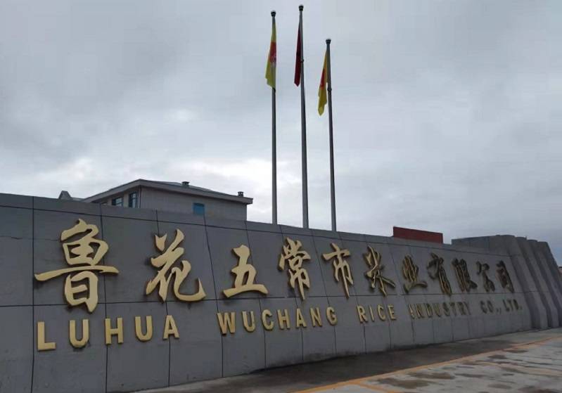 emc易倍：入局中国米业塔尖鲁花为五常大米产业带来了什么？(图1)