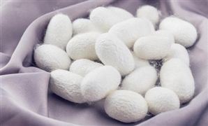 emc易倍：杂粮行业市场现状如何 杂粮行业市场全面分析(图6)