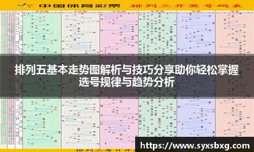 排列五基本走势图解析与技巧分享助你轻松掌握选号规律与趋势分析